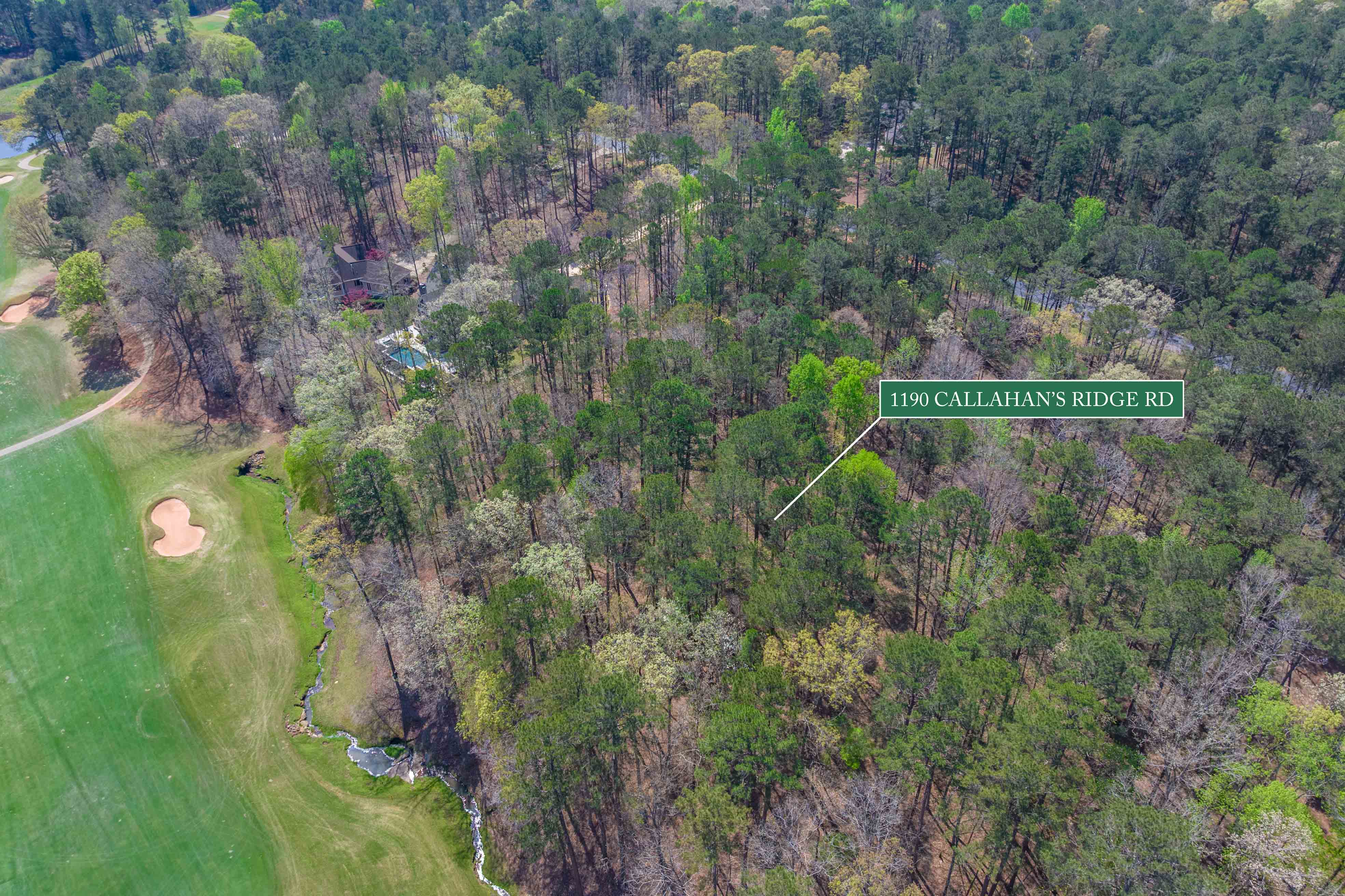 1190 Callahan's Ridge Road image 20